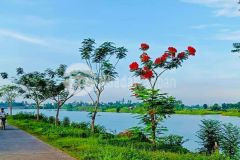 Đất ở về hưu view thiên nhiên, view sông tiếp giáp với 3 con sông. diện tích khủng làm nhà vườn