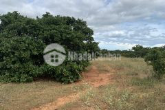 Bán 2077m2 đất cln phan rí thành cách biển dưới 2km, gần hồ nước rạng đông giá 383tr lh 0938677909