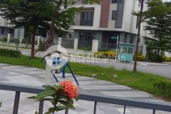 Biệt thự đơn lập 300m2 nằm ngay sát hn