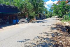 Bán đất mặt tiền tỉnh lộ 8c khánh hiệp giá rẻ ngay sát bên uỷ ban xã