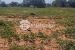 Bán 1922m2 đất cln phan rí thành cách biển hoà thắng dưới 2km giá 442tr lh 0938677909