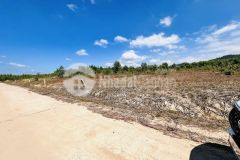 Bán đất vườn khánh đông giá rẻ đường thông