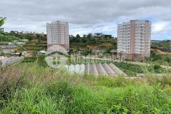 Bán đất sổ riêng xây dựng view thoáng phường 7