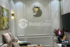 Bán nhà tạ quang bửu, 42m sổ đỏ chính chủ, oto vào trong nhà, giá 13.6 tỷ