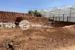 Bán đất sổ riêng nông nghiệp đường nhựa phường 7