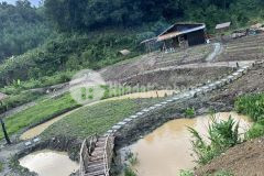 Bán farm khánh thượng khí hậu trong lành mát mẻ như đà lạt