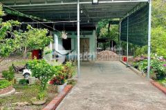 Chính chủ bán gấp đất trồng cây ăn trái 500 m32 giá 250 triệu