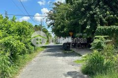 Cần bán gấp nhà c4. dt 340m2 ở tân thông hội củ chi giá 680 triệu.