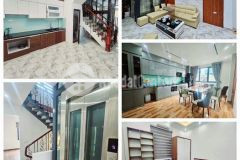 Bán nhà đào tấn 6 tầng thang máy, kinh doanh, dt50mx6tầng, mt4m, giá 12,95tỷ