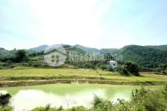 Chính chủ cần bán đất lương sơn, hòa bình 3,6ha, giá 13 tỷ