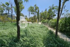 Chỉ 220 triệu có ngay đất thổ, vườn, ôtô tại gò công đông, tiền giang