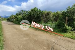 Bán vườn bưởi sông cầu qh thổ cư ngay trung tâm hành chính xã