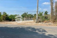 Bán đất tại xã an điền, thị xã bến cát, bình dương diện tích 4,2 ha