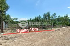 Bán đất vườn diên tân giá rẻ sát bên hương lộ 62 đường oto