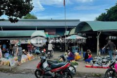 Bán nền gần chợ vượt lũ phường 8, thành phố vĩnh long