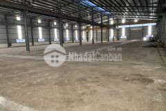 Chuyển nhượng nhà xưởng 10.000m2 khu công nghiệp đại an hải dương