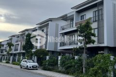 Bán biệt thự song lập giá tốt, rẻ hơn 500tr so với thị trường