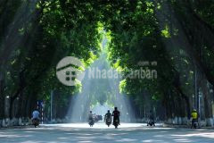 Bán nhà mặt tiền phố phan đình phùng, 4 tầng, dt 46m2, mt 4m, giá 52 tỷ 500 tr