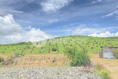 Bán 2,2 ha đất full sầu riêng, hiệp thuận ninh gia đức trọng