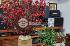 Bán nhà yên nghĩa dân xây đẹp vạn người mê lô góc s41m 4 tầng thoáng sáng