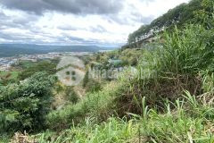 Nhanh tay nhanh tay cọc ngay đất nông nghiệp chuyển đổi được đât ở giá chỉ 4,5 tỷ