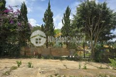 Cần bán lô đất xây khu nghỉ dưỡng view đồi thông vĩnh viễn.