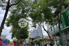 Bán nhà trần đại nghĩa, ngõ rộng siêu gần đường, 26 m sổ đỏ giá 3.75 tỷ