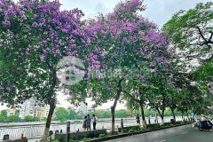 Bán gấp nhà mặt hồ đắc di, vỉa hè kinh doanhdt 100m2, 4 tầng, mt 5m, 26tỷ