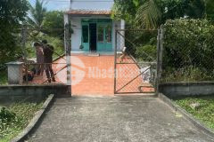 Còn mỗi căn nhà để dưỡng già mà cũng bị thằng con phá, shr, 271m2, shr, giá 660 triệu