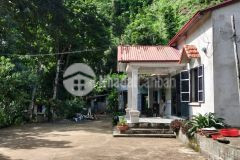 Bán gấp đất lương sơn, hòa bình 1,9ha, giá 4 tỷ