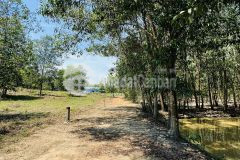 Bán đất vườn diên xuân giá rẻ cách nhà dân chỉ 500m