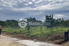 Cần bán lô đất tại kcn bảo hiệu, yên thuỷ, hoà bình, 225tr, 150m