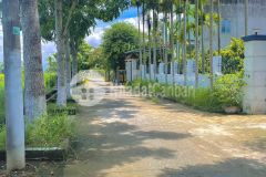 160m2 đất quang châu hòa châu view đồng, đường 4m gần ql1a lh 0935196248