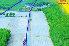 Vành đai kcn lớn chỉ từ 295tr là mua được 5x38 sẵn thổ cư đất của phường tại thị xã chơn thành