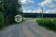 Bán đất xây dựng kho xưởng tại xã vĩnh tân, thành phố tân uyên, bình dương