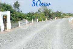 Quá hót 1200m2 đất vườn long an, hỗ trợ chuyển full thổ, sẵn sổ riêng, chỉ 850tr1000m2. lh0772561