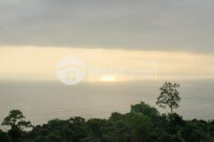 Cần bán lô đất vườn 419m2 sát khu du lịch rừng dừa 7 mẫu,xã cẫm thanh,thành phố hội an,quảng nam