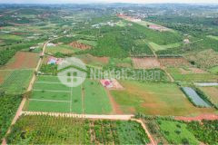 Em chia sẻ nhanh thửa đất hoài đức lâm hà lâm đồng