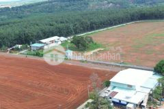 New horizon đất nền trung tâm bù đăng cơ hội đầu tư giá rẻ