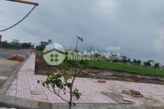 Đất dự án nghỉ dưỡng flamingo và bãi tắm quất lâm, shr, giá đầu tư chỉ từ 1.3 tỷ. lh0937914693.