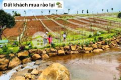 Đất dân giá ngộp cần ra nhanh ở xã tân hưng h.đồng phú 3000m2 shr chỉ 450tr 1 sào. lh0396433952.