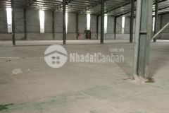 Cho thuê kho, xưởng quận bắc từ liêm. hà nội