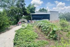 Chỉ 470trnền gốc 147m2 có 60m thổ cư, mỹ khánh, phong điền