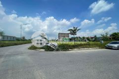 Lô góc đấu giá minh hải, văn lâm, hưng yên giá tốt 0835459289