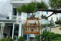 Hạ giá còn 13t để bán trong tháng nhà mới xây đà lạt, gần ga trại mát 0888.113.882