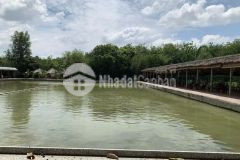 Bán vườn sinh thái tại xã long nguyên, huyện bàu bàng, bình dương