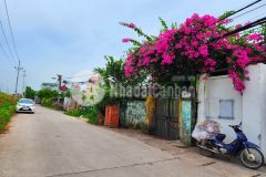 Cần bán 125 m2 đất đấu giá trục chính thôn xuân nê sát ubnd xã đại áng 3 ô tô tránh 55trm2