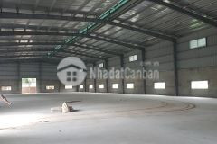 Cho thuê nhà kho đường 304 phường 11, vũng tàu. 1.728m2