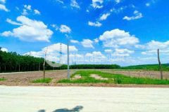 Đất vườn mít thị xã chơn thành minh thành 505m2550tr