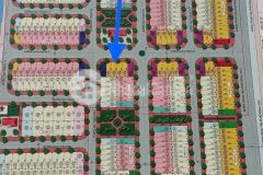 Hàng hiếm cl5 giãn dân hoà phong mỹ hào, giá tốt 0828218468